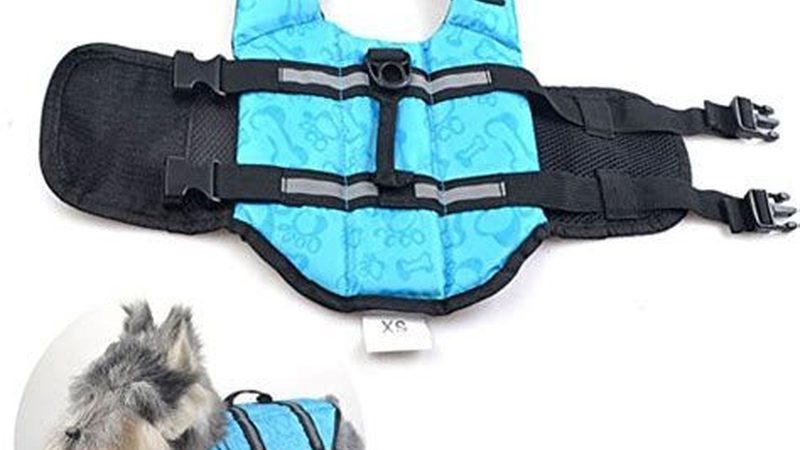 螺杆冷水机维保，为什么本地服务商更靠谱
