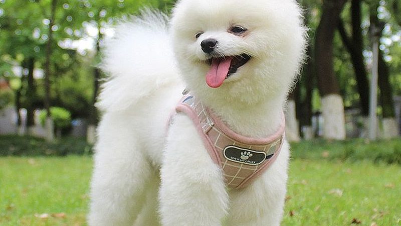 螺杆式工业冷水机：揭秘其核心参数与选型逻辑